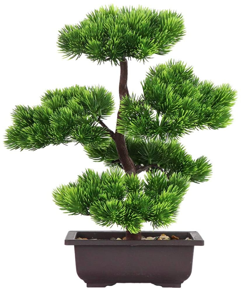 Japanese Garden Bonsai - Японский бонсай из сосны для украшения