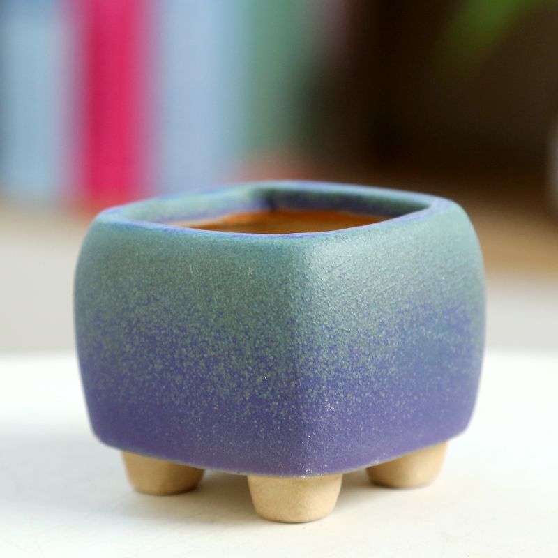 Training Pot Ceramic - Мини-мясистый цветочный горшок, керамический, дышащий, струящийся