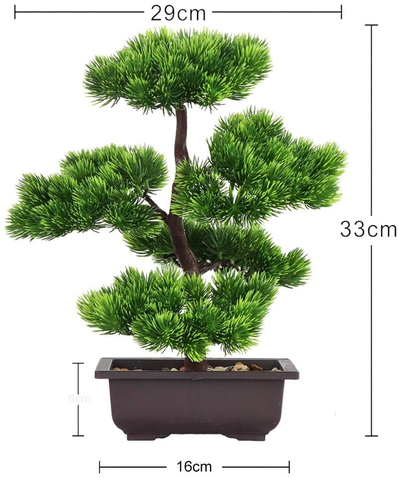 Японский бонсай из сосны для у – обзор и цена Japanese Garden Bonsai
