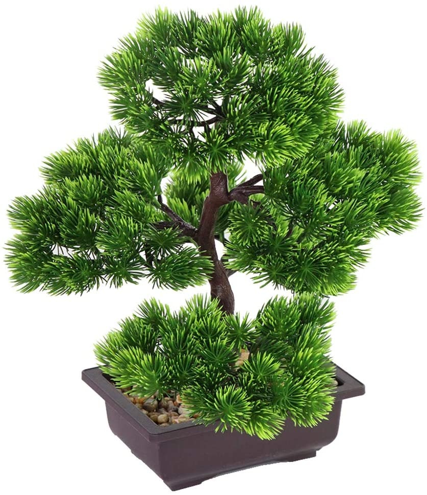 Японский бонсай из сосны для у – обзор и цена Japanese Garden Bonsai