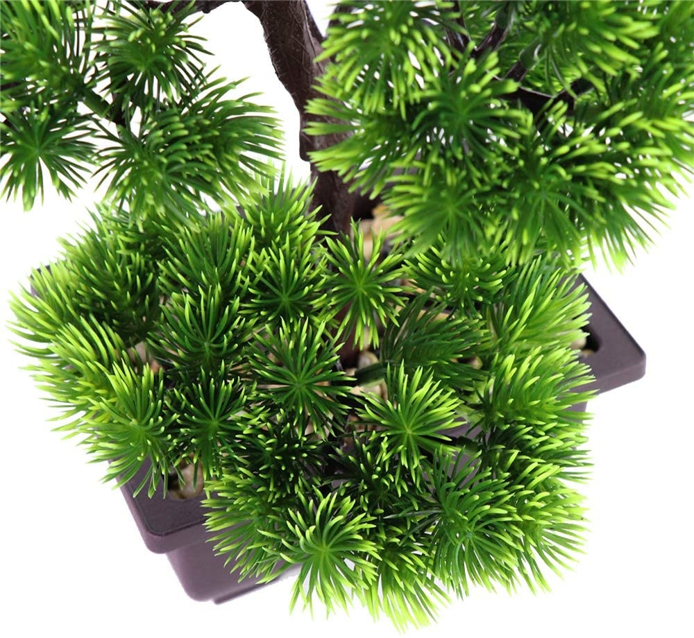Японский бонсай из сосны для у – обзор и цена Japanese Garden Bonsai