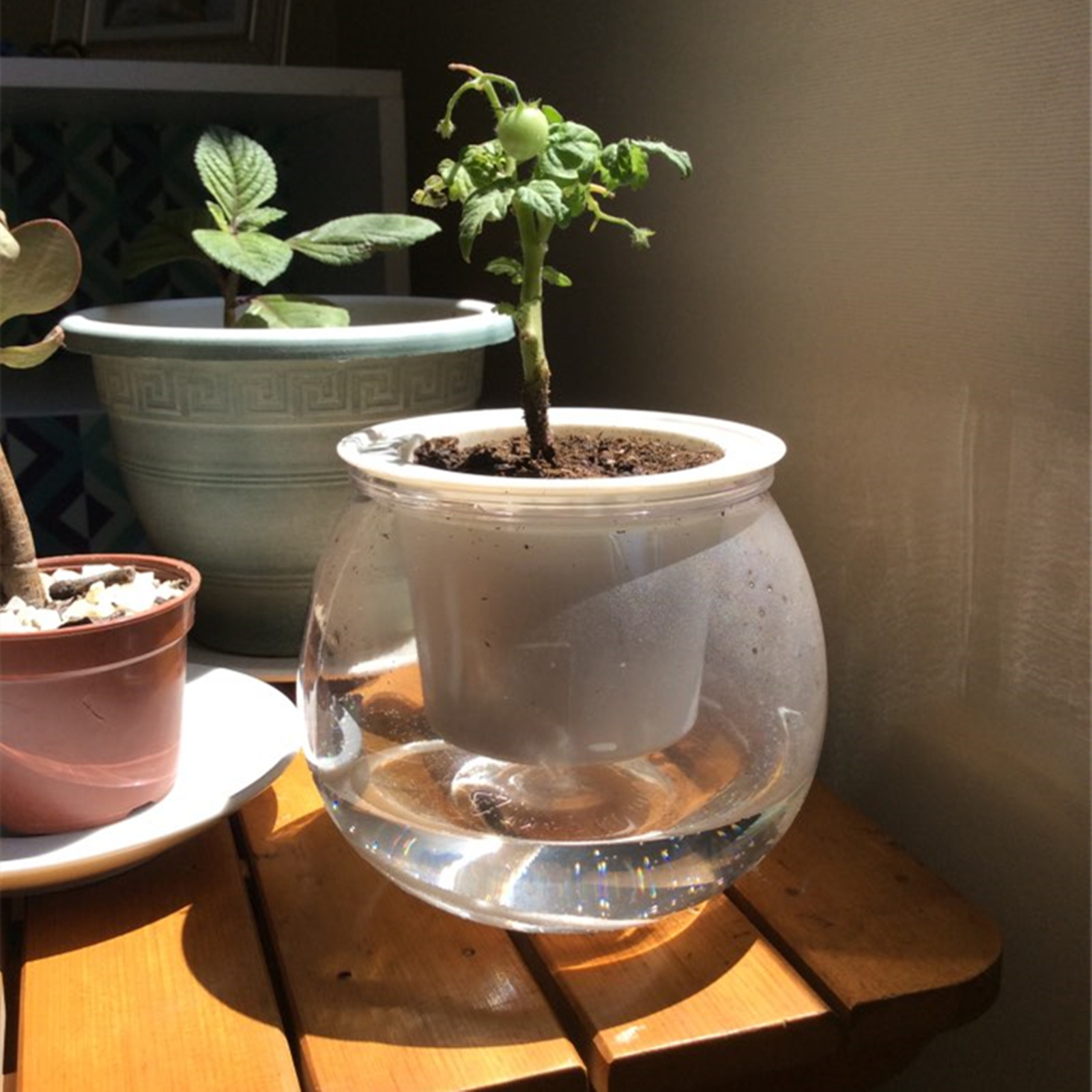 Горшок для растений, комнатный – обзор и цена Japanese Garden Bonsai
