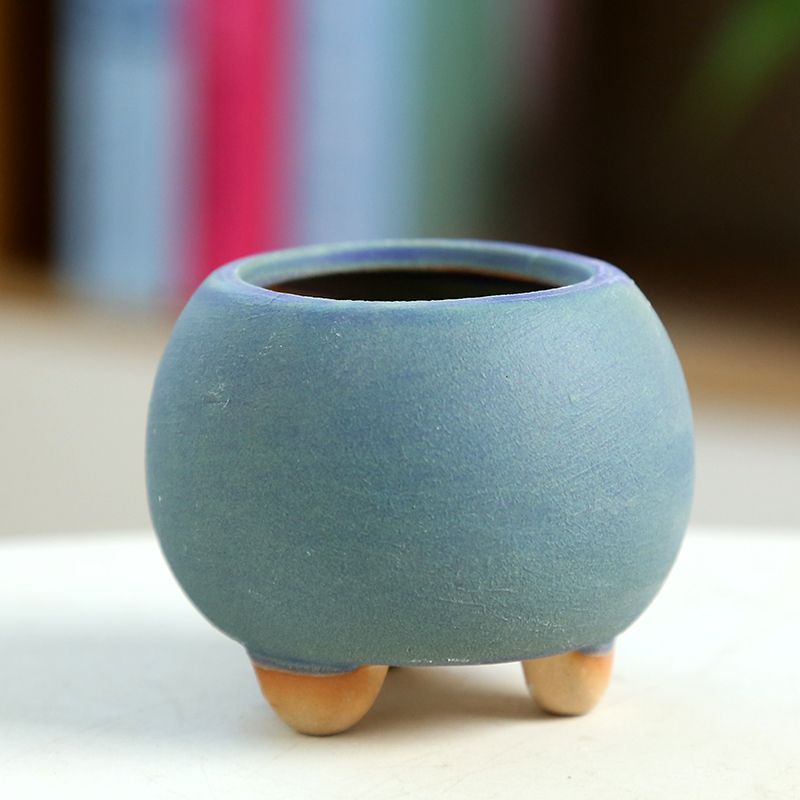 Мини-мясистый цветочный горшок – обзор и цена Training Pot Ceramic