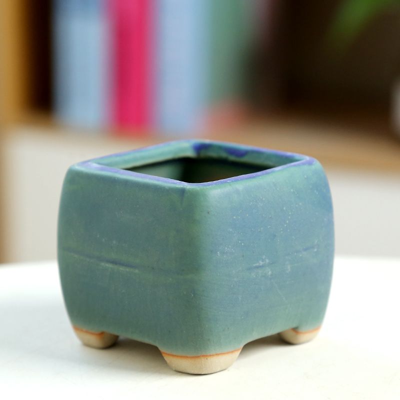 Мини-мясистый цветочный горшок – обзор и цена Training Pot Ceramic