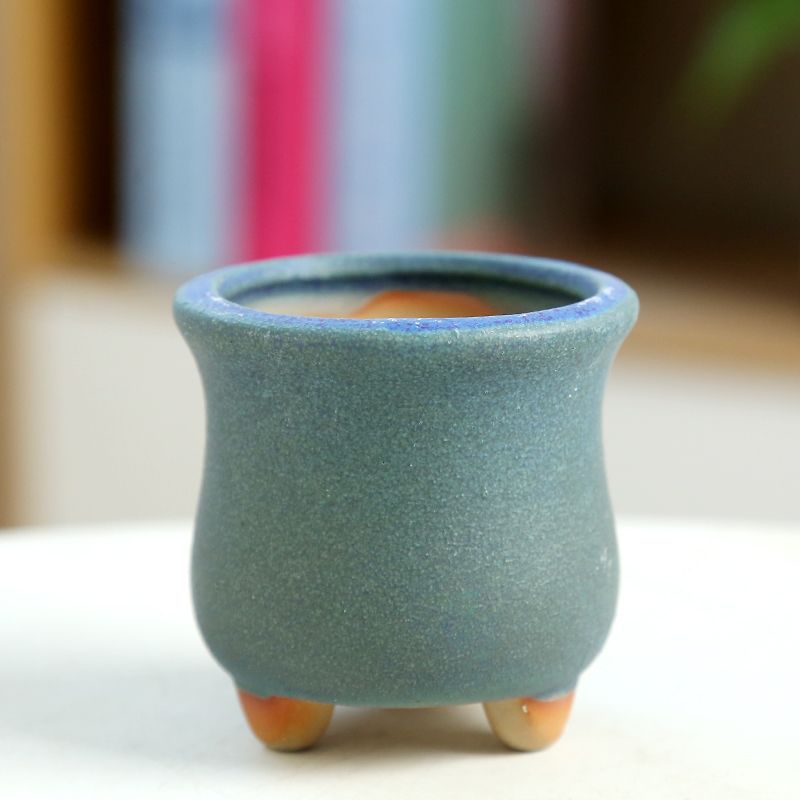 Мини-мясистый цветочный горшок – обзор и цена Training Pot Ceramic