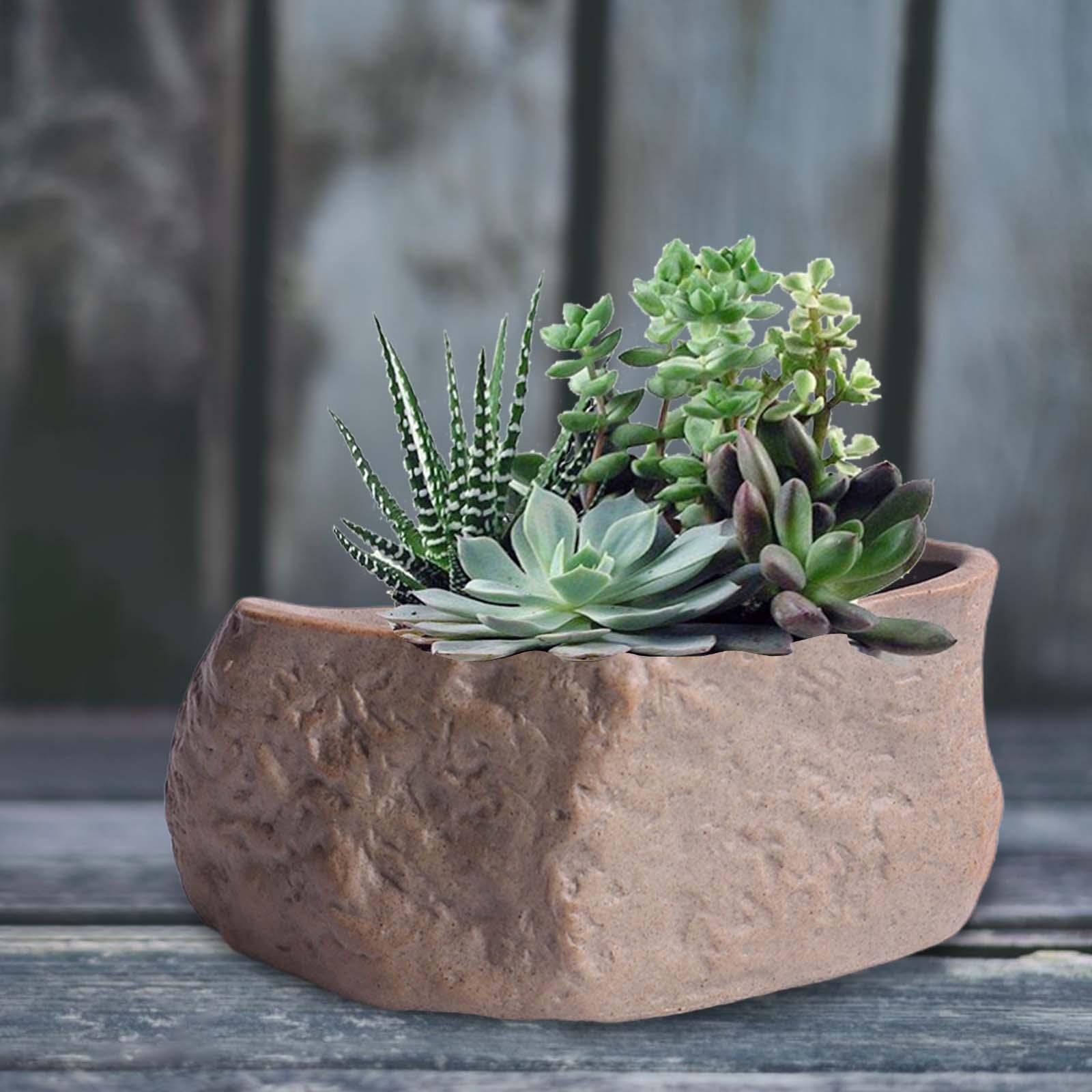 Керамический горшок для суккул – обзор и цена Training Pot Ceramic