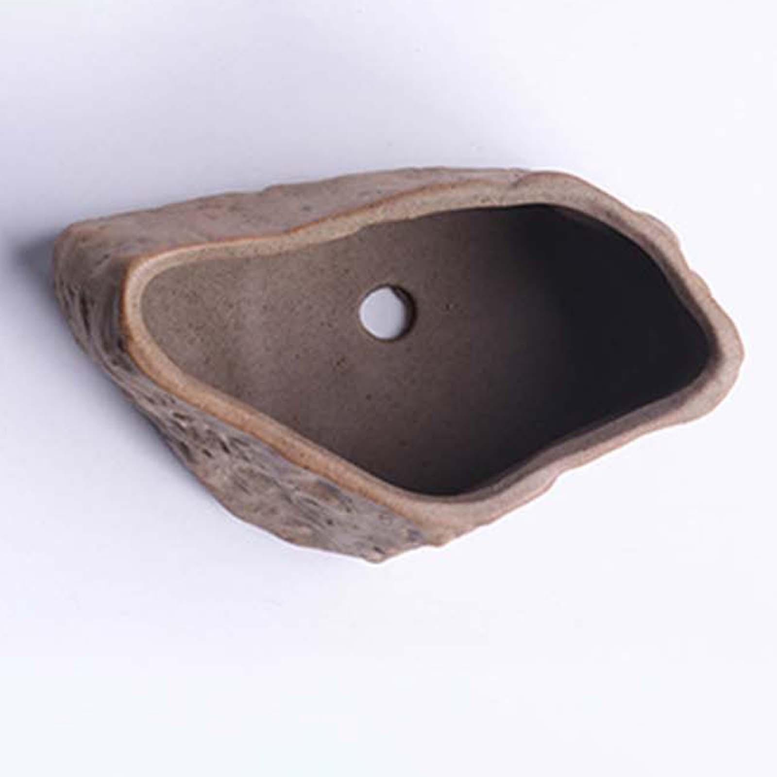 Керамический горшок для суккул – обзор и цена Training Pot Ceramic