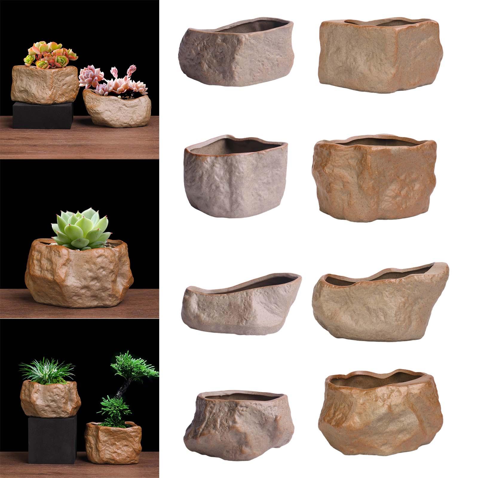 Керамический горшок для суккул – обзор и цена Training Pot Ceramic
