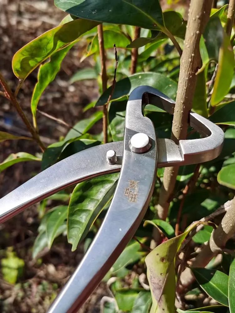 Профессиональный набор инструм – обзор и цена Concave Branch Cutter