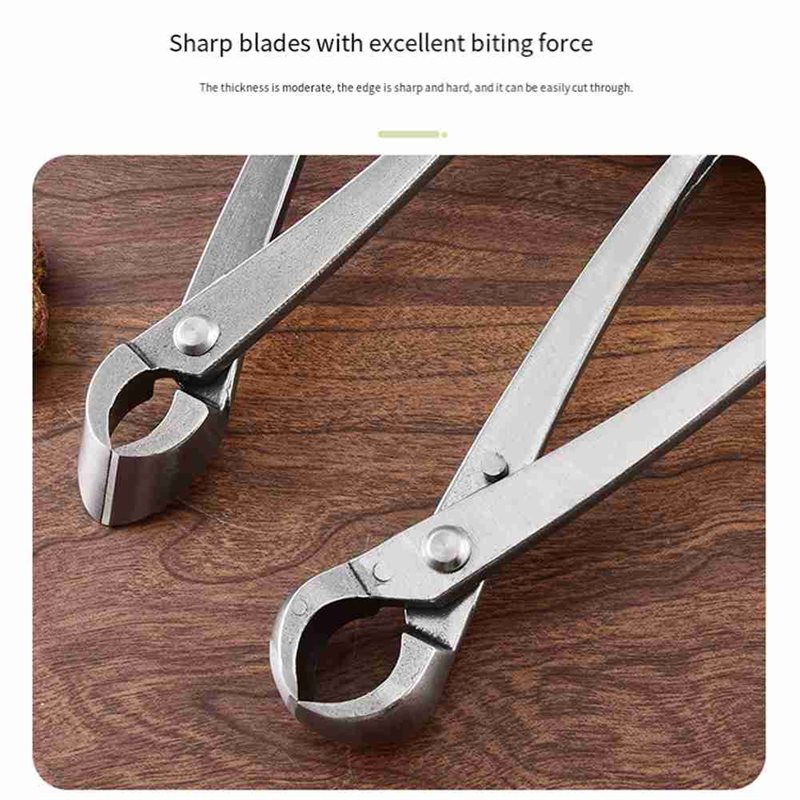 Набор инструментов для ухода з – обзор и цена Concave Branch Cutter