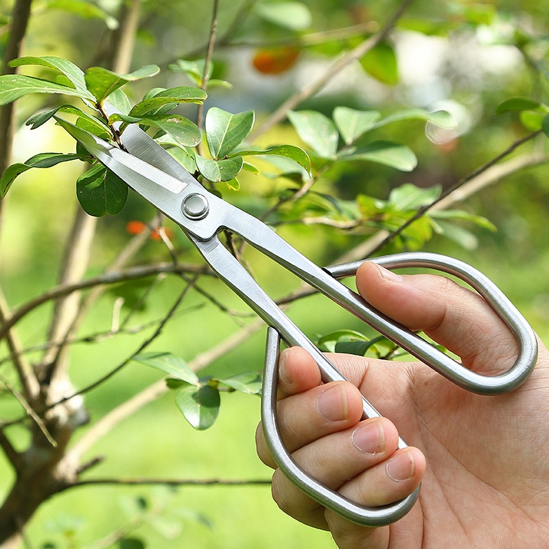 Ножницы для нежных листьев, ин – обзор и цена Concave Branch Cutter