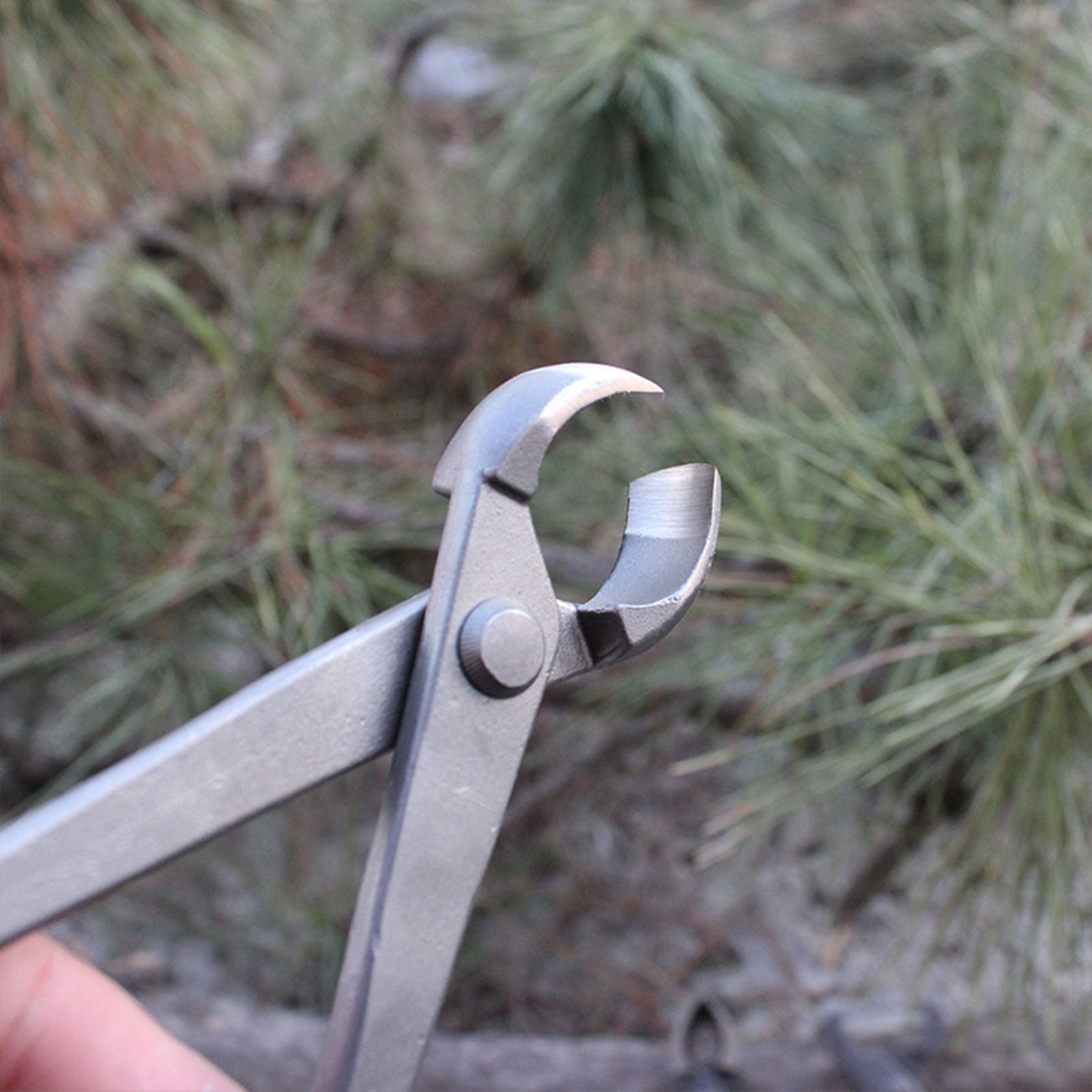 Садовый резак для бонсай, вогн – обзор и цена Concave Branch Cutter