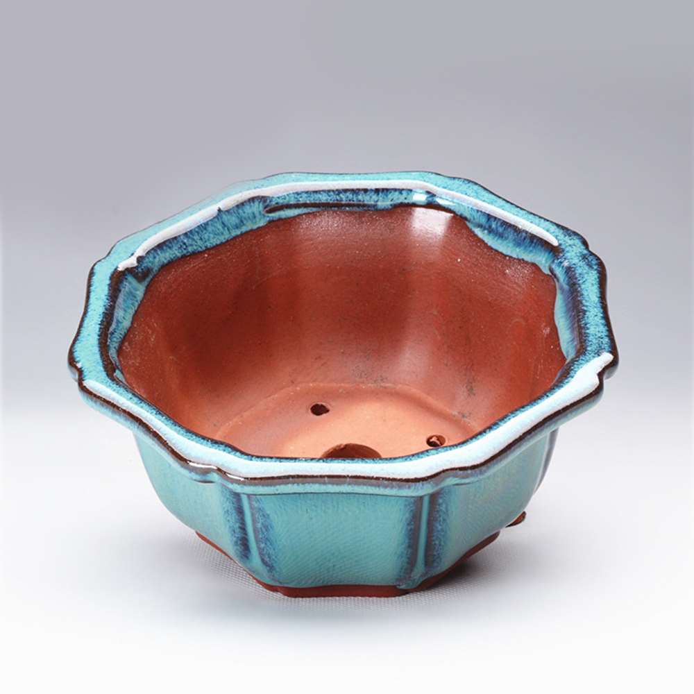 Бонсай в китайском стиле, горш – обзор и цена Training Pot Ceramic